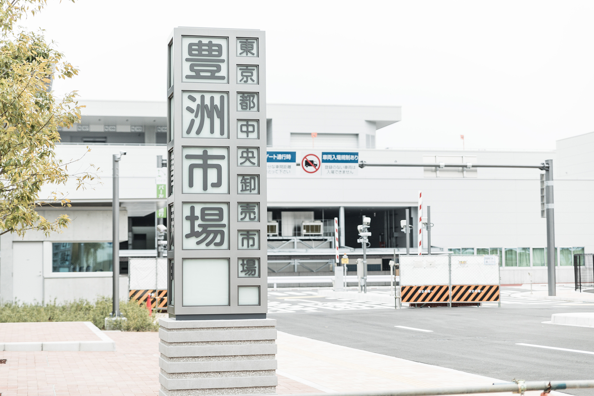 豊洲市場 サムネイル