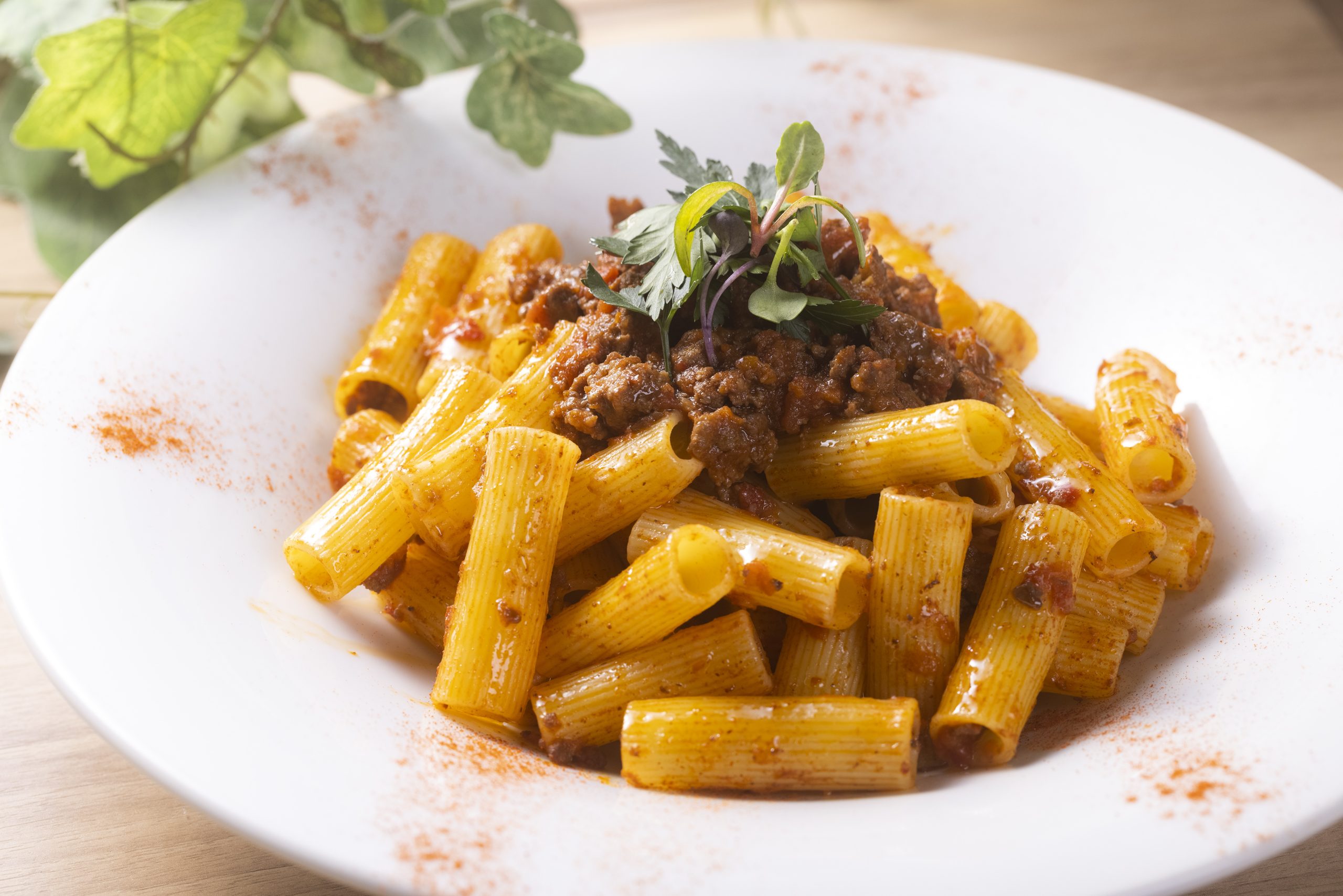 日替わりパスタ